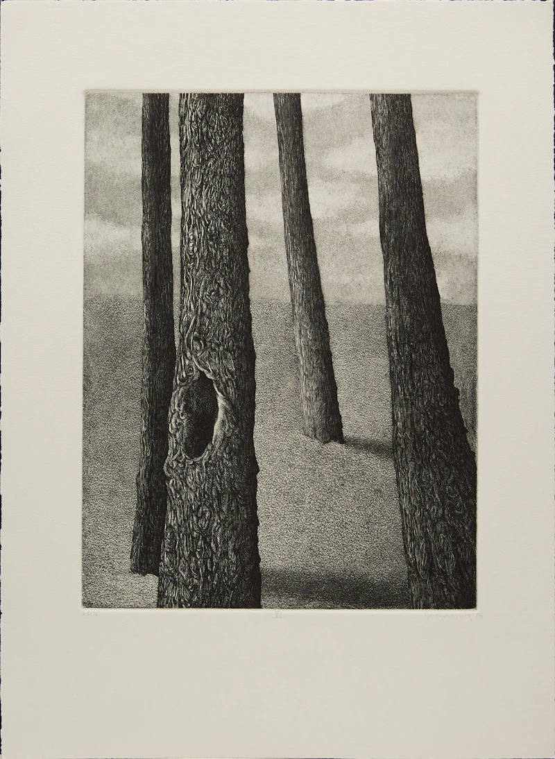Jo Manning, Paradox: Portfolio of Poems and Seven Etchings, portfolio of poems and seven etchings, 1974 - view 9
