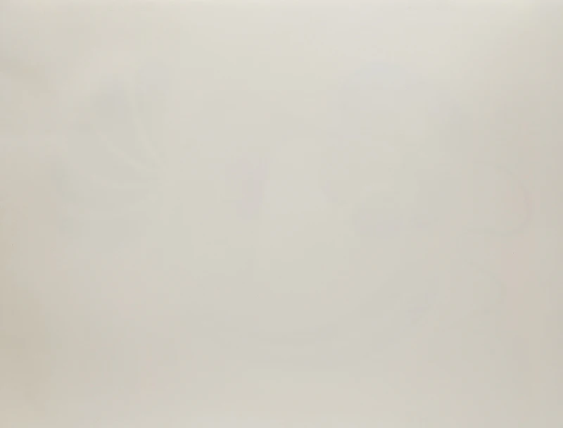 Simon Brascoupe, Hummingbird and Flower, lithograph, 1988 - view 2