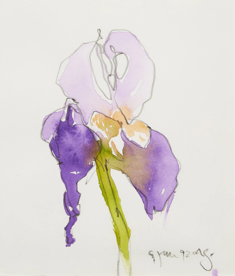 Claude A. Simard, Iris, acrylic on paper - view 2