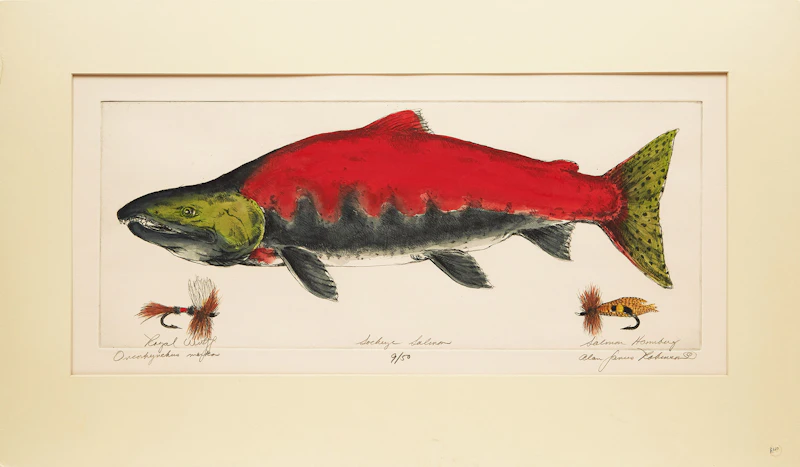 Sockeye Salmon (Oncorhynchus Nerka) by Alan James Robinson