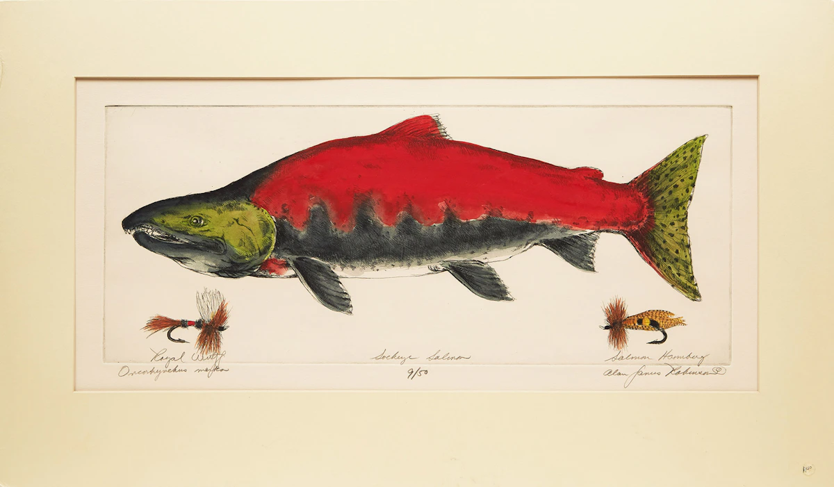 Alan James Robinson, Sockeye Salmon (Oncorhynchus Nerka), colour etching