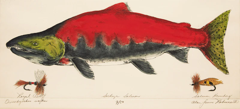 Alan James Robinson, Sockeye Salmon (Oncorhynchus Nerka), colour etching - view 2