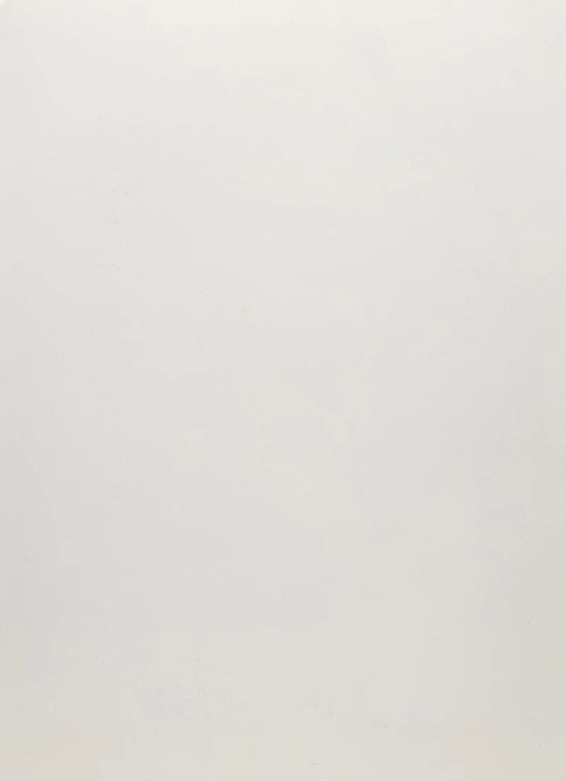Carl Beam, John Lennon, colour screenprint - view 3