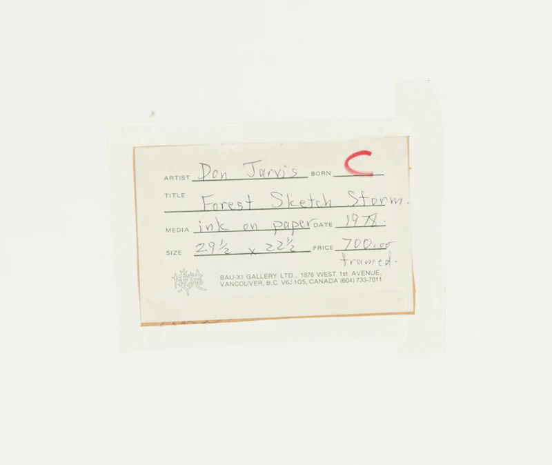 Donald Jarvis, Forest Sketch Storm (1979), ink on paper - view 3