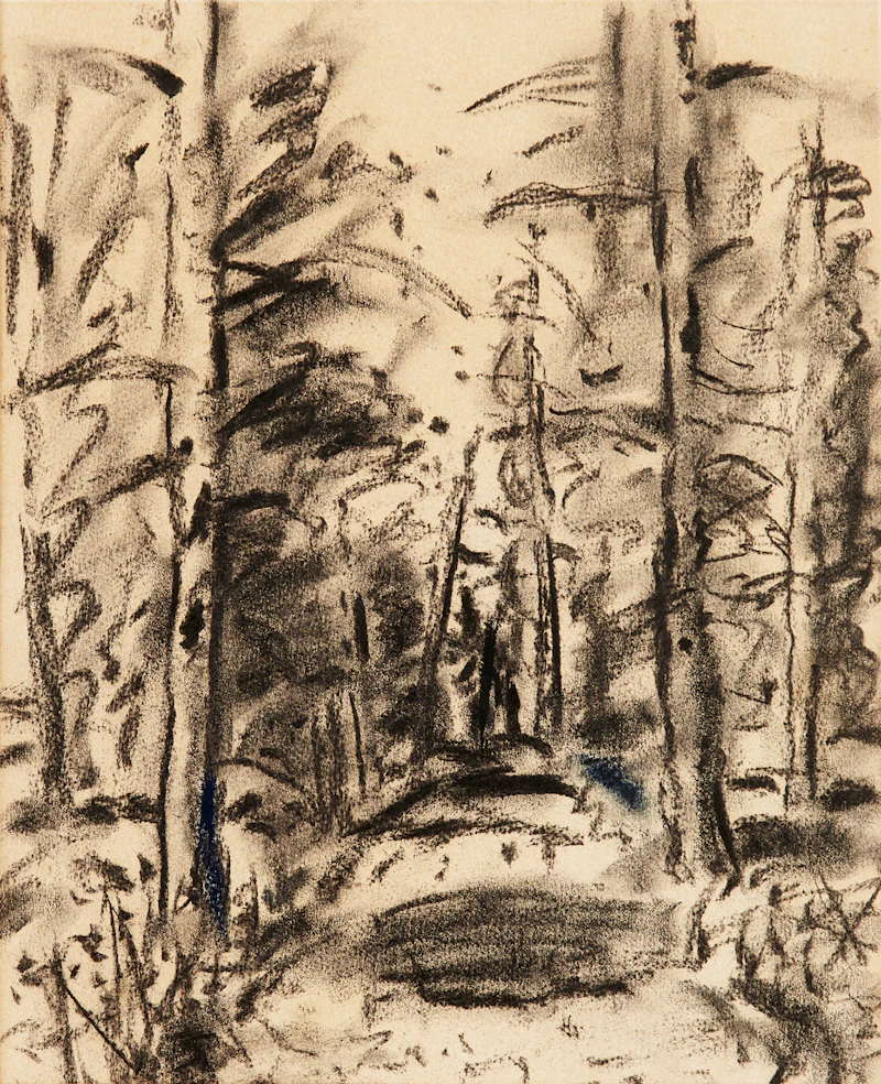 Stanley Morel Cosgrove, Path through the Forest, charcoal drawing - view 1