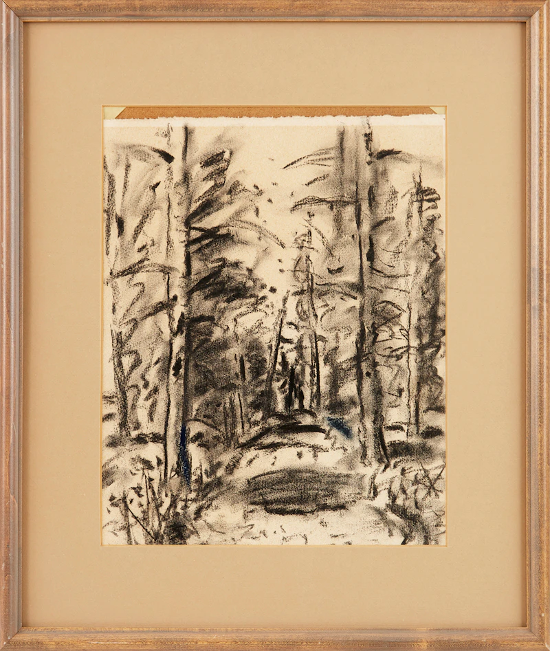 Stanley Morel Cosgrove, Path through the Forest, charcoal drawing - view 2
