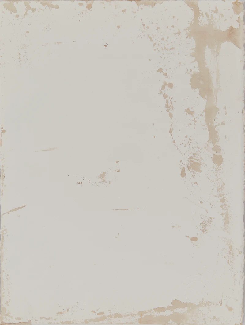 Carl Beam, Untitled - American Bison / Bison bison, mixed media on paper - view 2