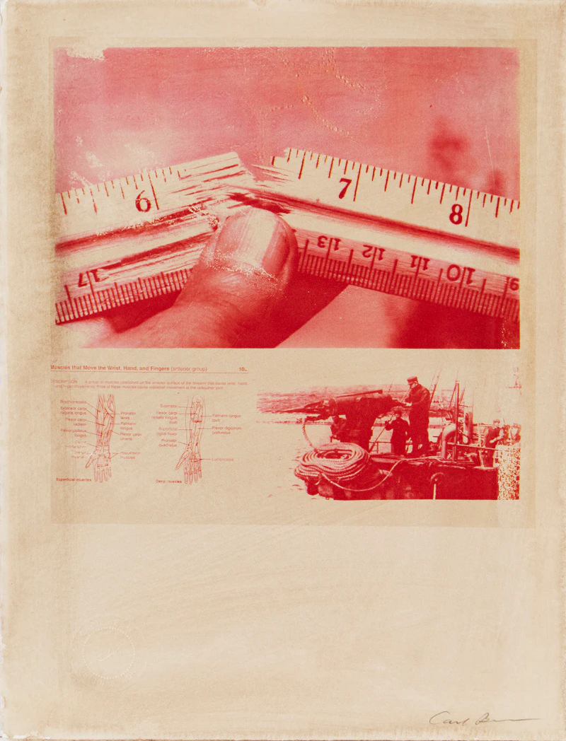 Untitled - Muscle that Moves the Wrist, Hand & Fingers by Carl Beam