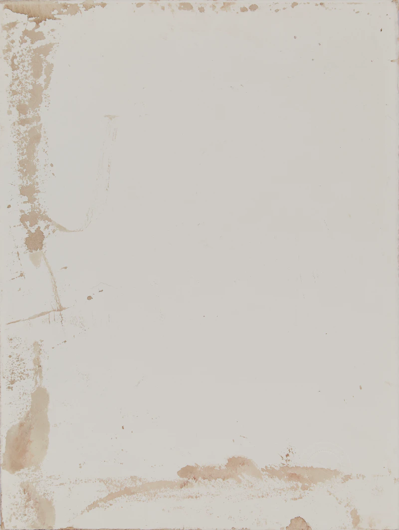 Carl Beam, Untitled - Muscle that Moves the Wrist, Hand & Fingers, mixed media on paper - view 2