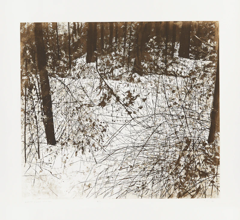 Gordon Appelbe Smith, North Shore, Winter, etching - view 2
