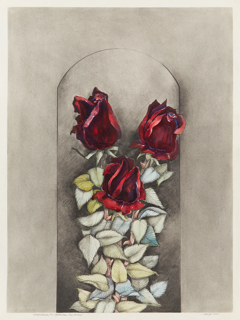 Frank Nulf, Dark Blooms #2 (Sydenham Rose Series); Untitled (Sydenham Rose Series), pair of watercolour and graphite works - view 2