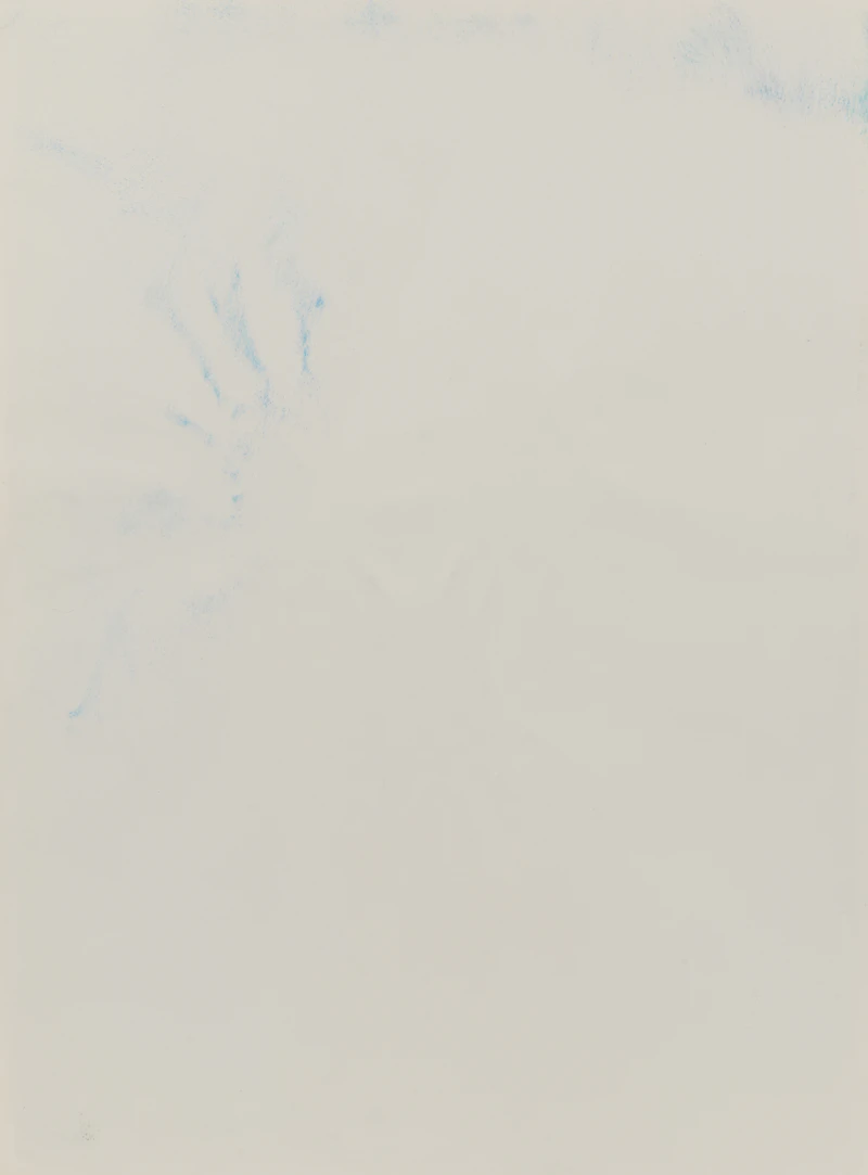 Frank Nulf, Dark Blooms #2 (Sydenham Rose Series); Untitled (Sydenham Rose Series), pair of watercolour and graphite works - view 3