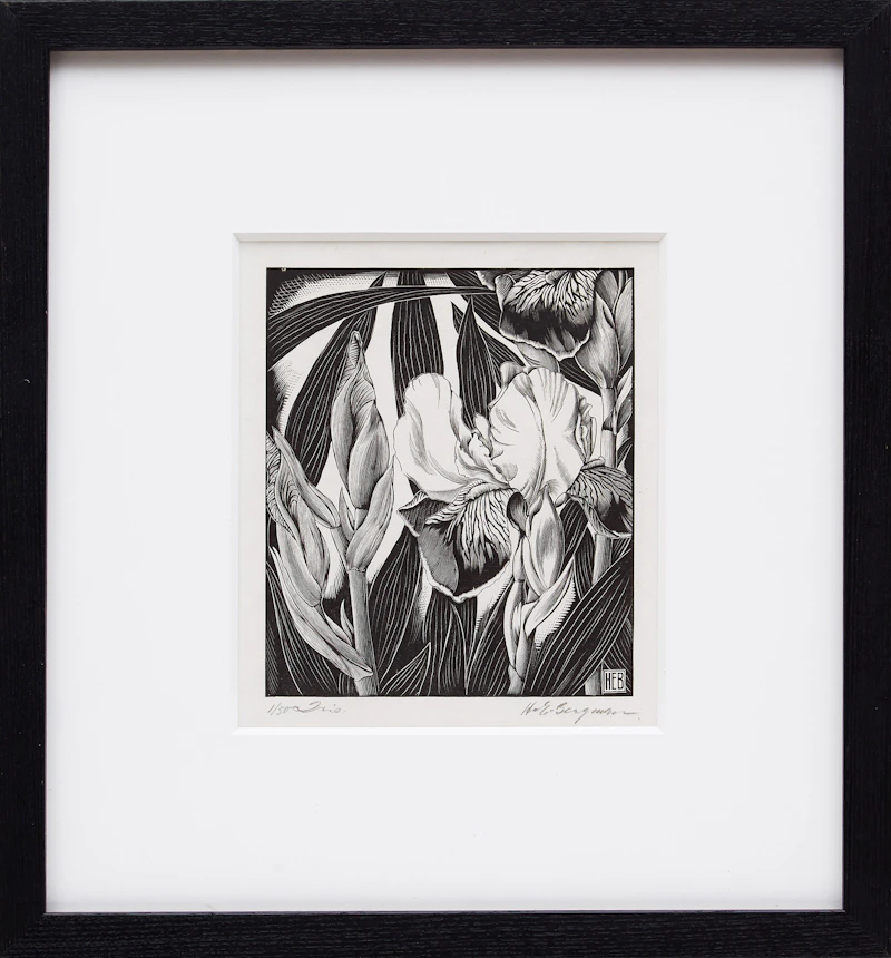 Henry Eric Bergman, Iris, engraving - view 2
