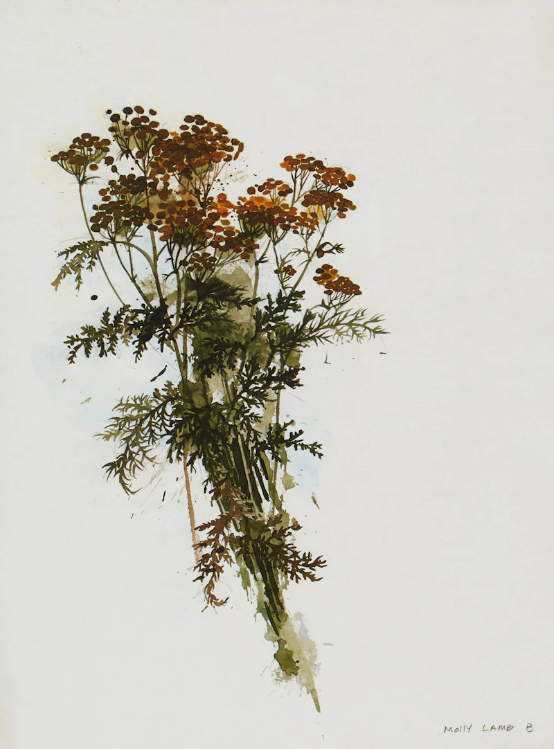 Molly Lamb Bobak, Pair of Floral Studies, two reproduction prints - view 4
