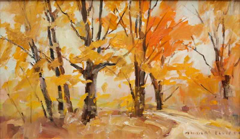 Douglas Ferguson Elliott, Maples in October, oil on board - view 2