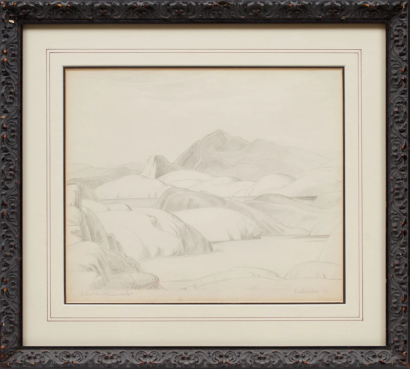 Labrador by Thomas Harold Beament
