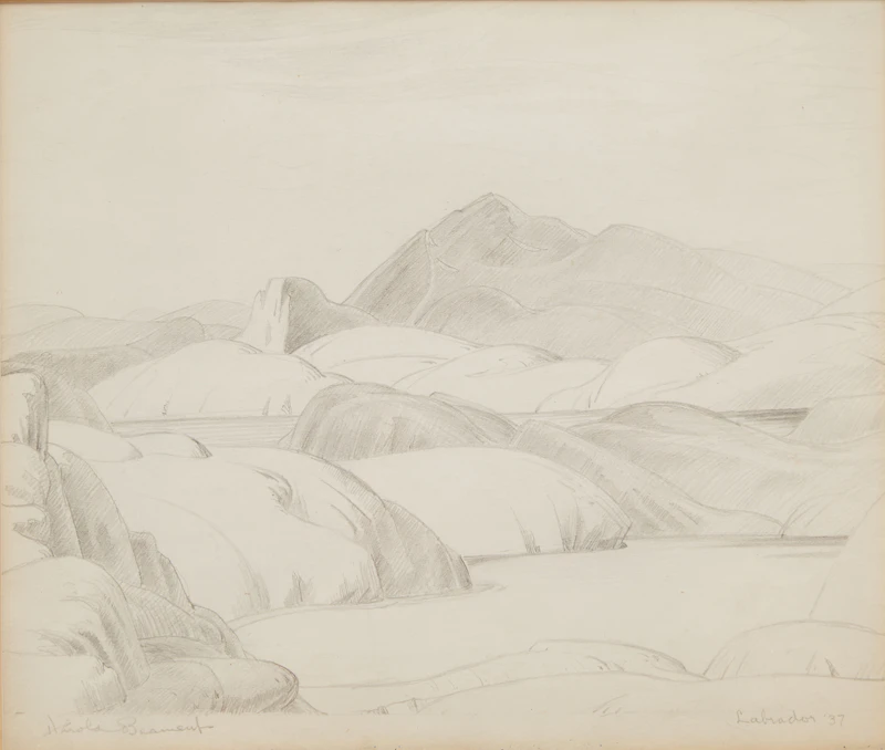 Thomas Harold Beament, Labrador, graphite drawing, 1937 - view 2
