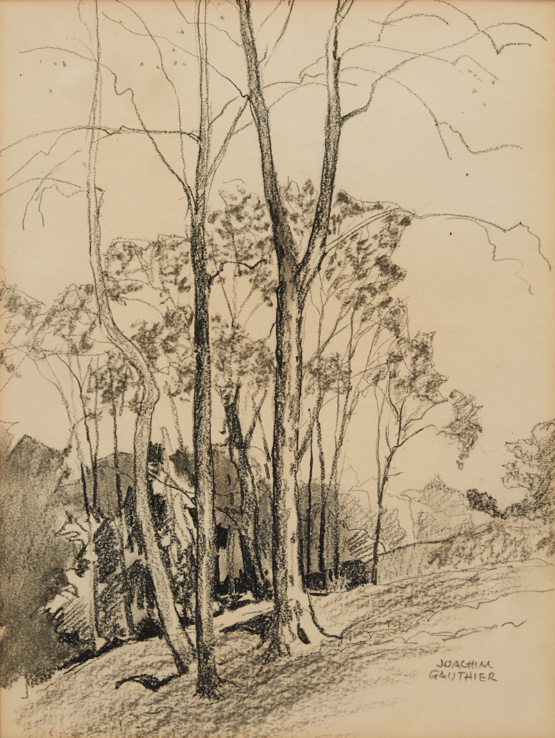 Joachim George Gauthier, A Clump of Trees, graphite drawing - view 2