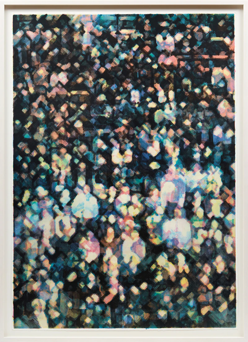 Stephen Andrews, Un pequeno parte de algo mas grande 1 (A Small Part of Something Larger) (2010), colour lithograph - view 2