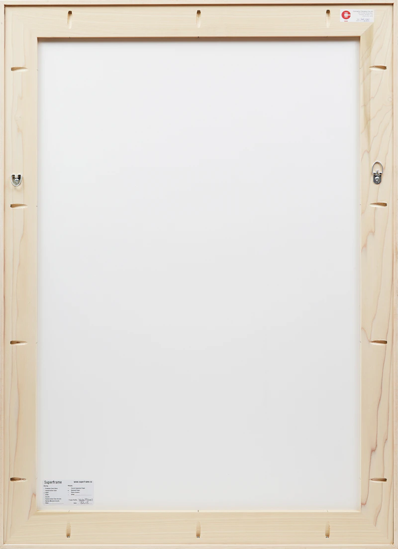 Stephen Andrews, Un pequeno parte de algo mas grande 1 (A Small Part of Something Larger) (2010), colour lithograph - view 3