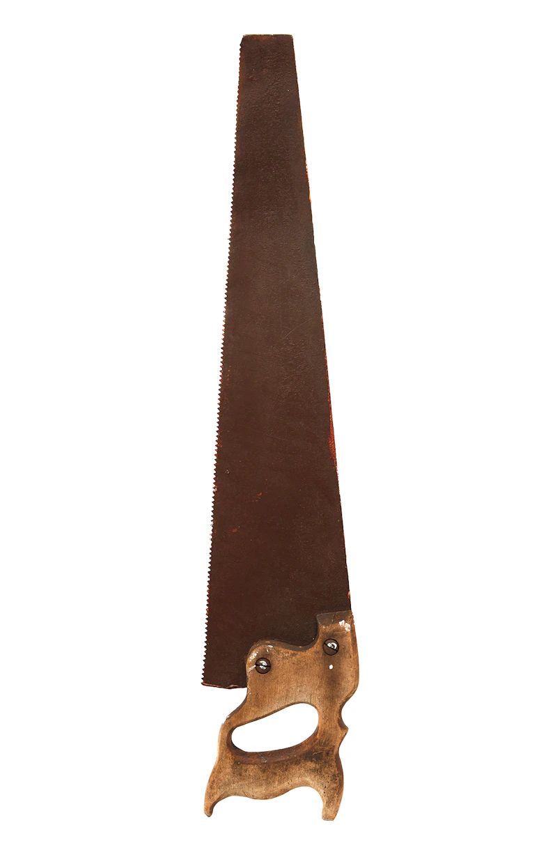 Jason McLean, I Saw Wilt, mixed media collage on saw, 2015 - view 2