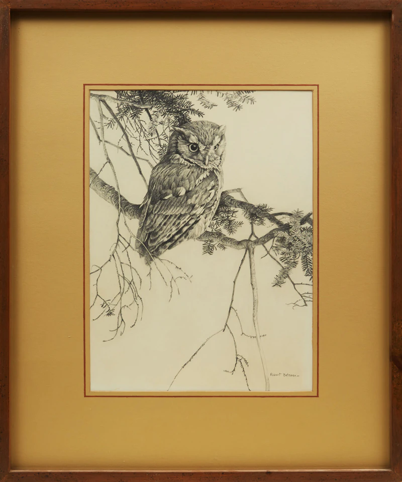 Robert Bateman, Owl Sketch, graphite drawing - view 2
