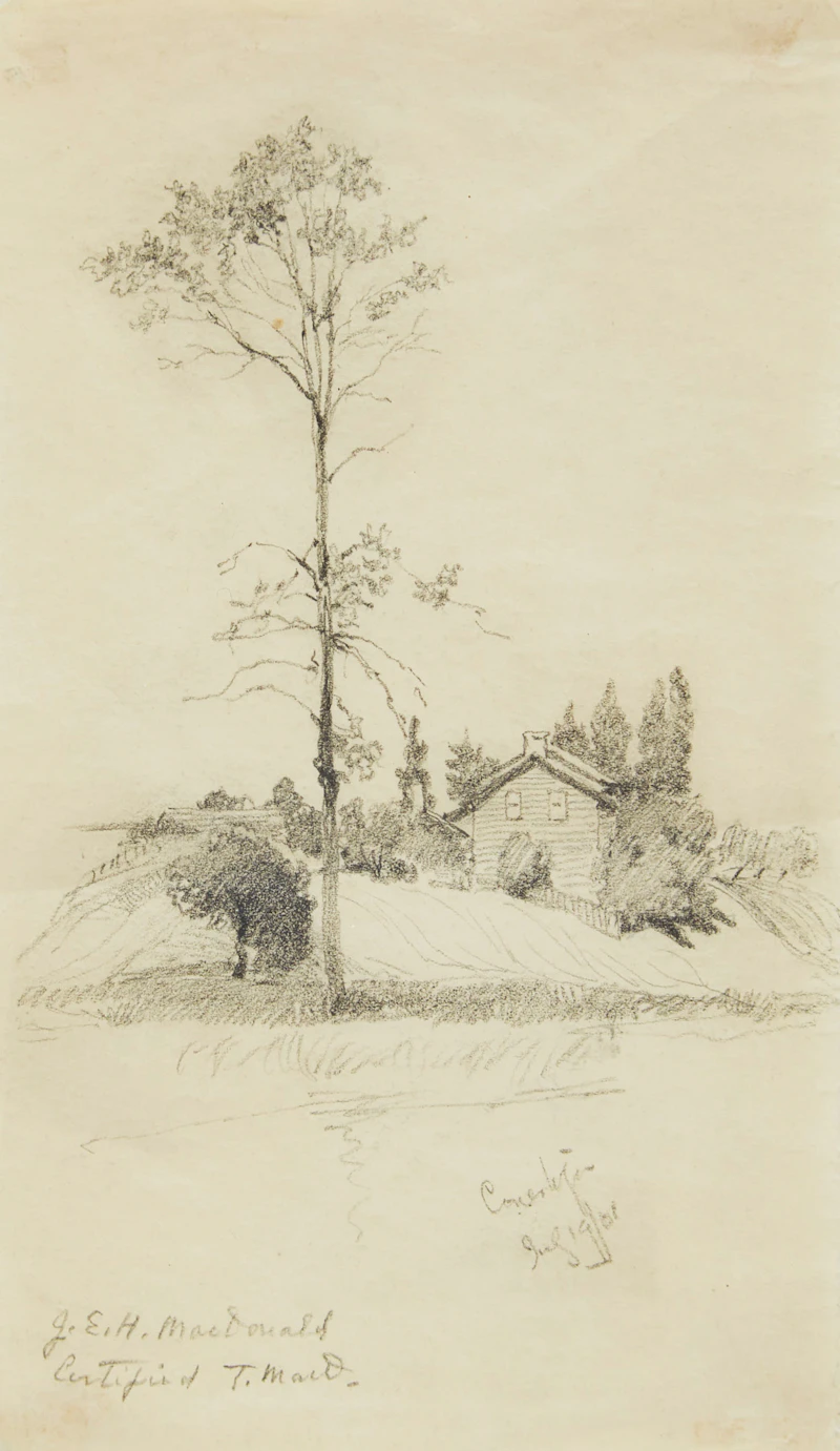 James Edward Hervey MacDonald, Homestead