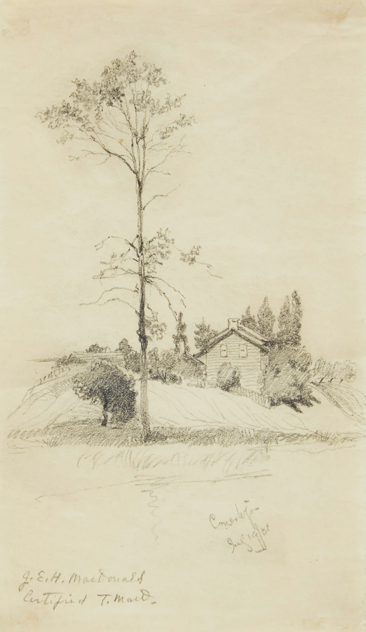 James Edward Hervey MacDonald, Homestead, pencil drawing