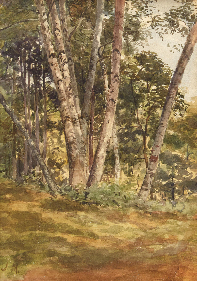 James Edward Hervey MacDonald, Birch Woods