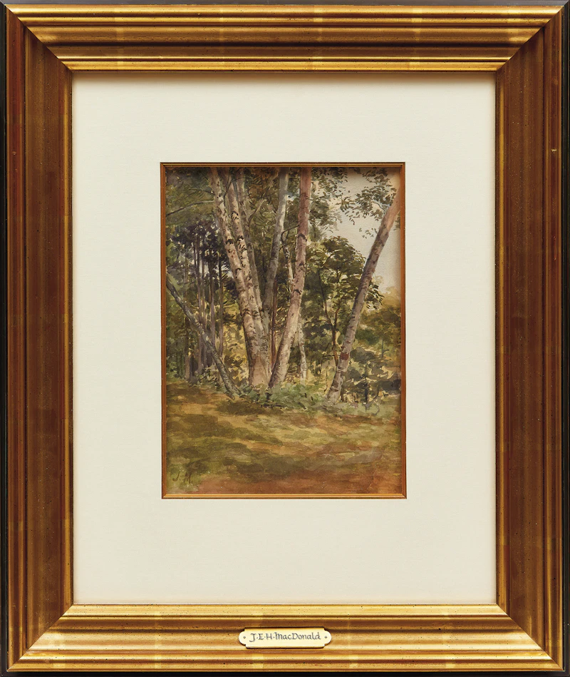 James Edward Hervey MacDonald, Birch Woods, watercolour - view 2