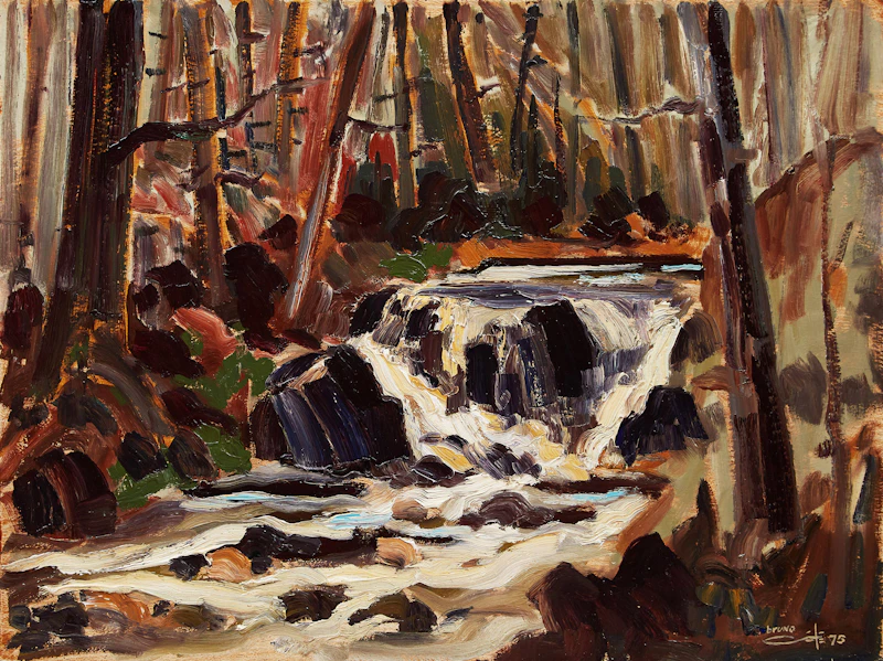 Rushing Stream in Forest by Bruno Côté
