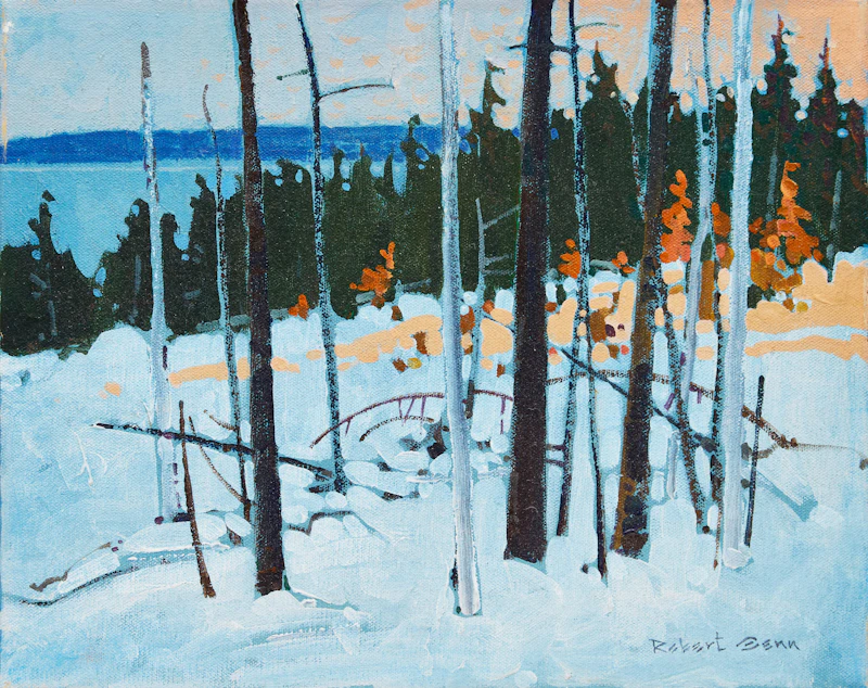 Last Light, Parry Sound by Robert Genn