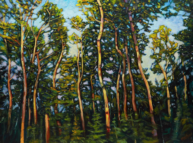 Birches Sway by Paul Mantrop