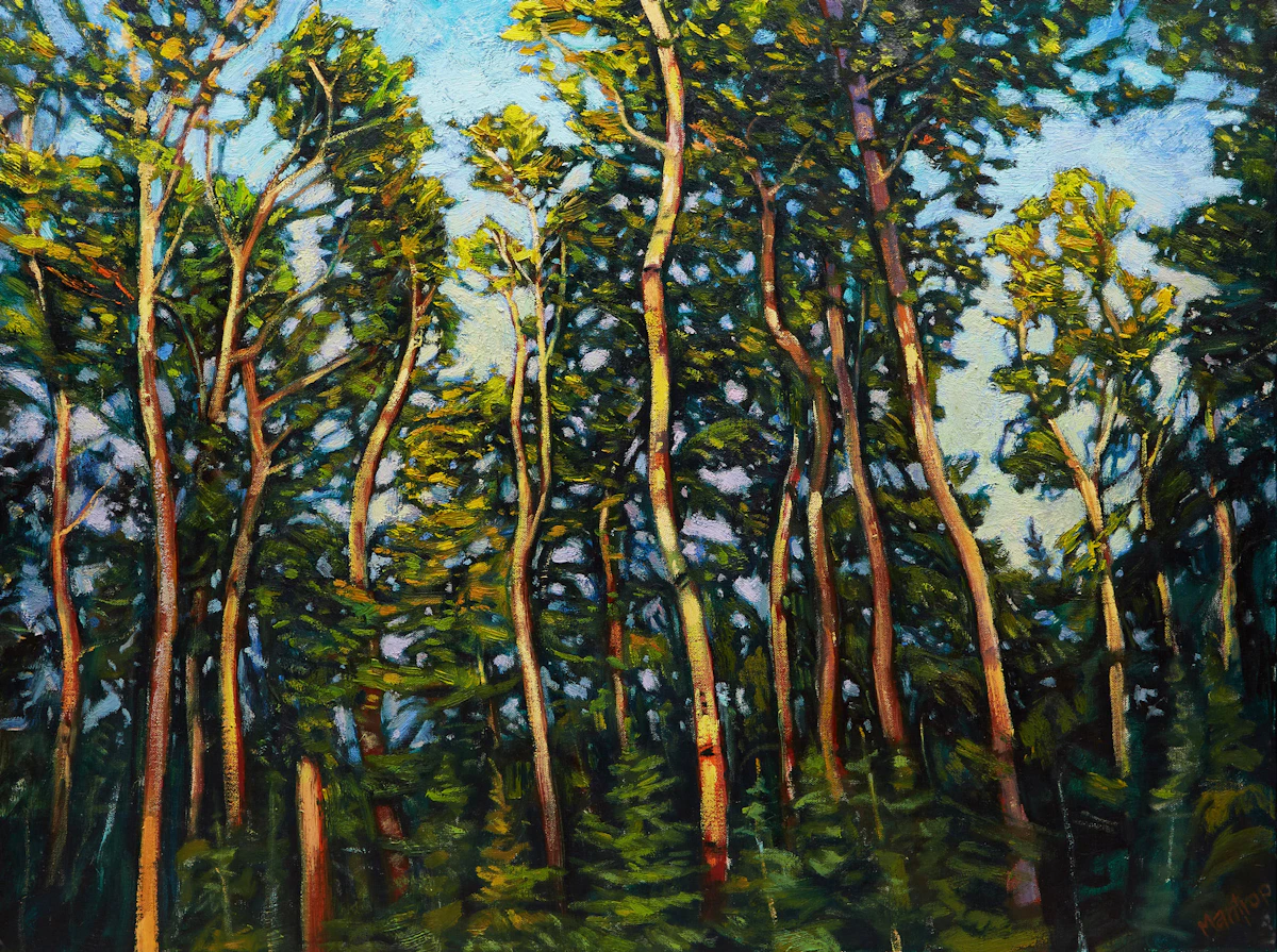 Paul Mantrop, Birches Sway, oil on canvas