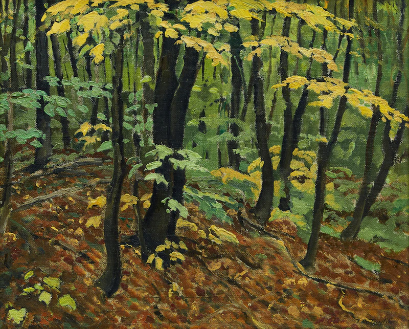 Near Morin Heights, Quebec by Frederick Bourchier Taylor