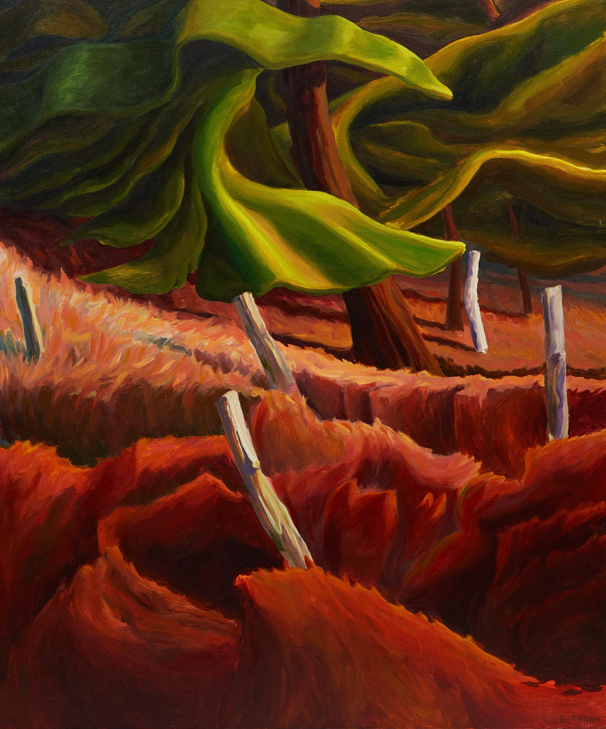 Drew Burnham, Fence Line Pines, acrylic on canvas, 2003