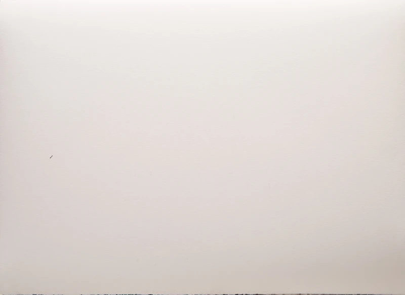 Iain Baxter&, Available Landscape, monoprint, 1999 - view 2