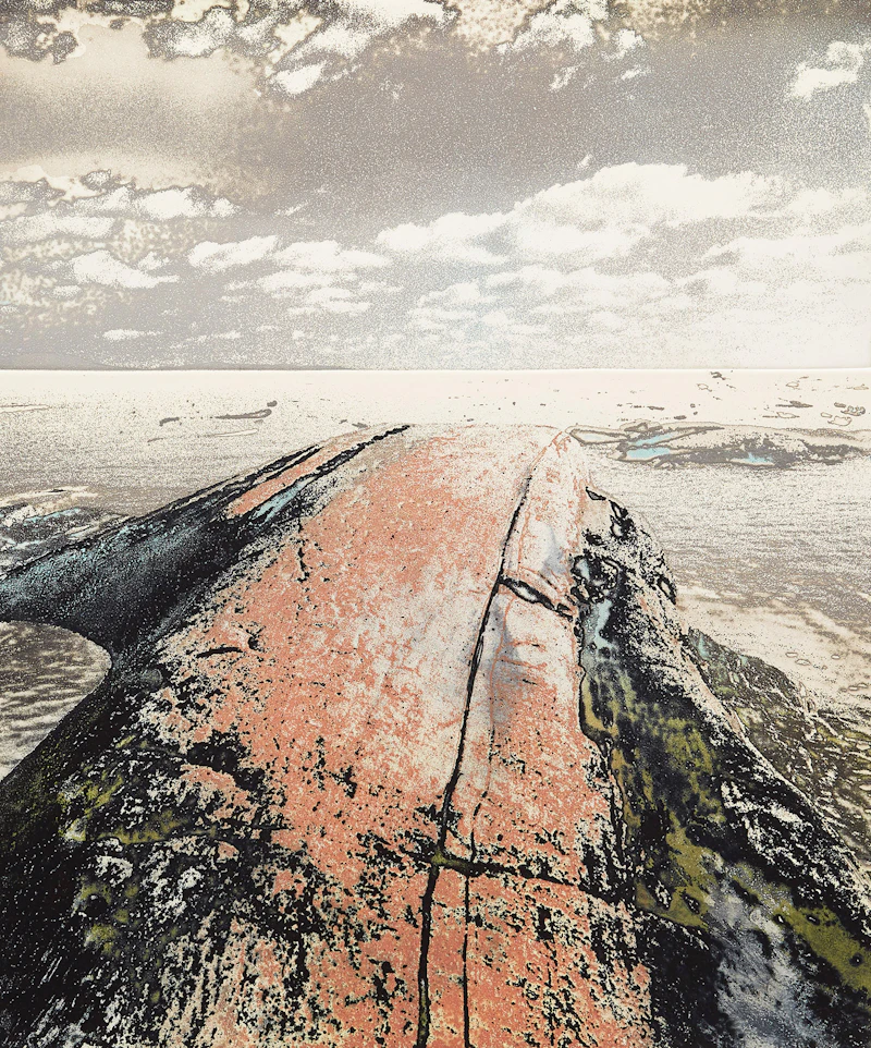 Whaleback #3 by Edward John Bartram