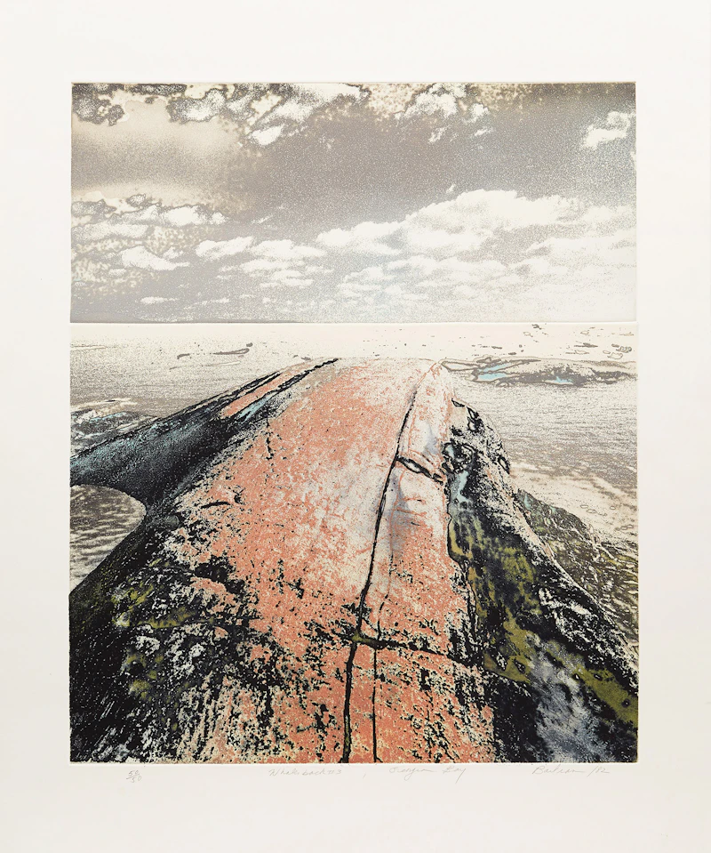 Edward John Bartram, Whaleback #3, colour etching, 1982 - view 2