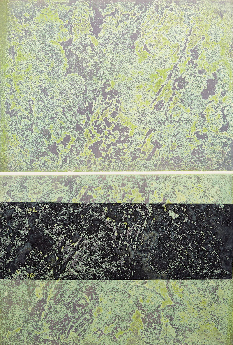 Lichen Canadian Shield by Edward John Bartram