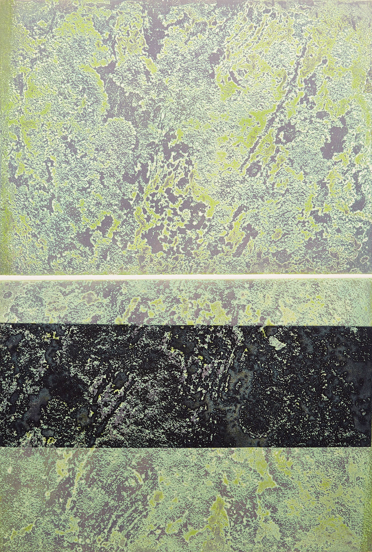 Edward John Bartram, Lichen Canadian Shield, colour etching