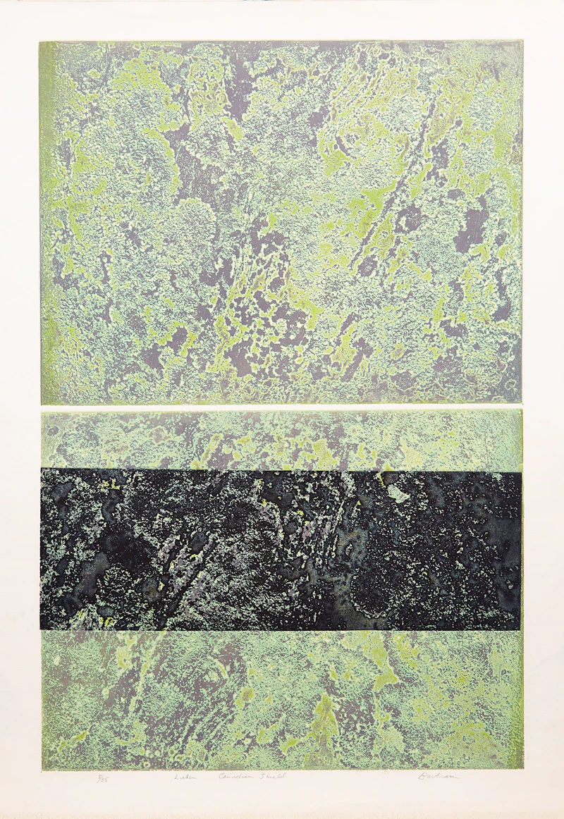 Edward John Bartram, Lichen Canadian Shield, colour etching - view 2