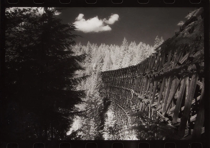 Canadian Cliché #3, B.C. Wooden Trestle Singel by Jane Hinton