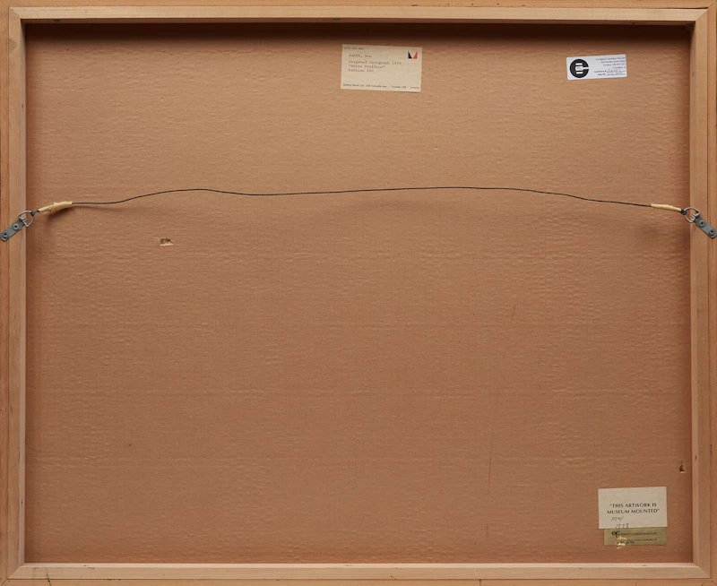 Kenneth Danby, White Stallion, colour lithograph, 1978 - view 3