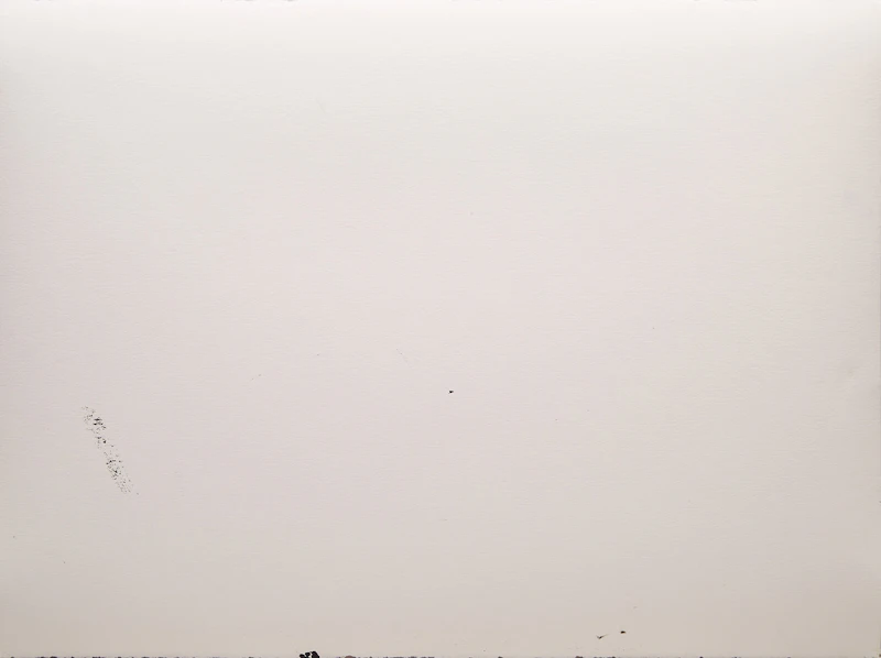 Iain Baxter&, Soulmate Landscape, monoprint, 1999 - view 2