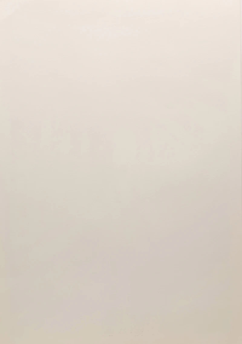 Boris Bucan, The Scream (After Edvard Munch), colour lithograph - view 3