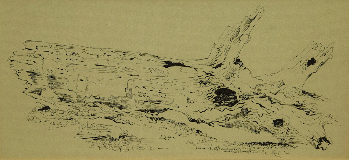 Carl Fellman Schaefer, Survival, ink drawing, 1966