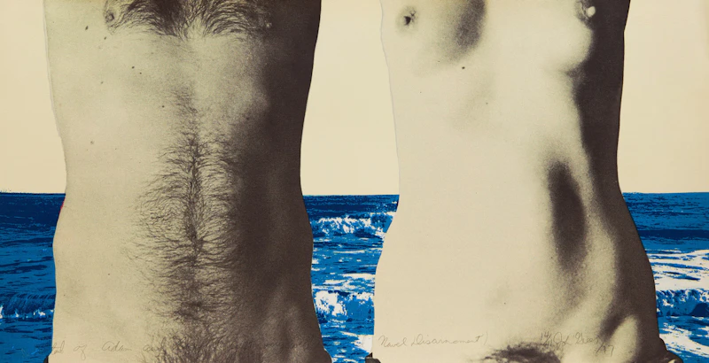 Navel Disarmament by John Greer