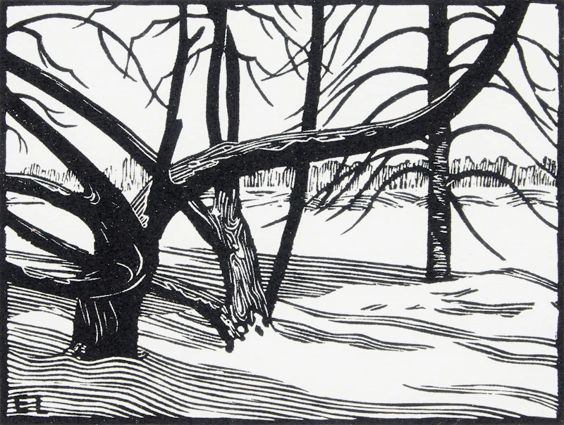 Bare Trees by Ernest Lindner