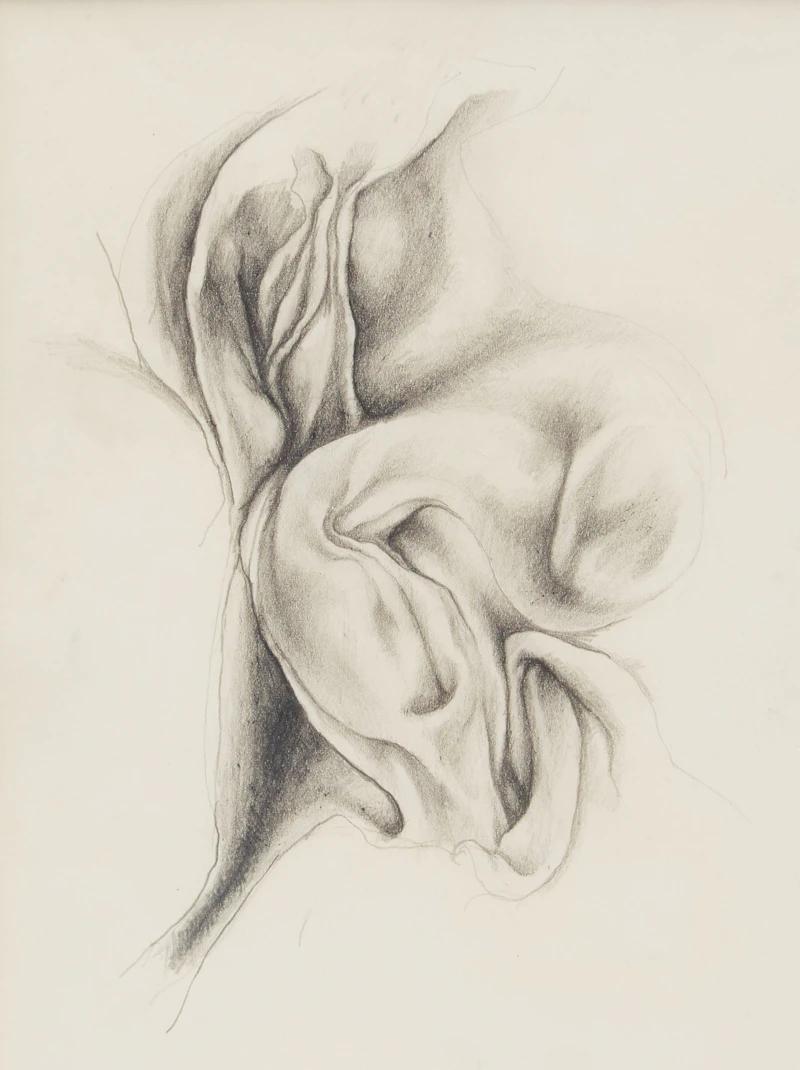Abstract Study by Unknown 20th Century Artist